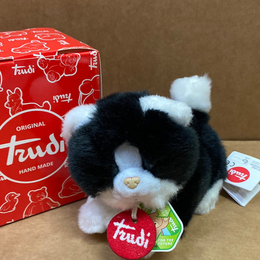 Gattino Trudi S